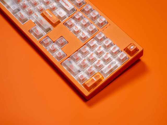 LeleLab X Sensy JUICY